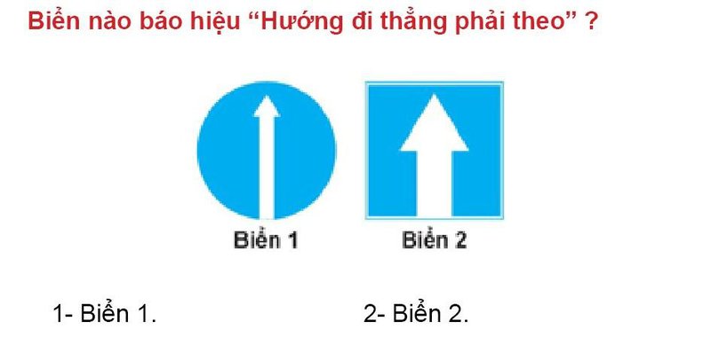 Nội dung câu hỏi thi bằng lái xe số 437