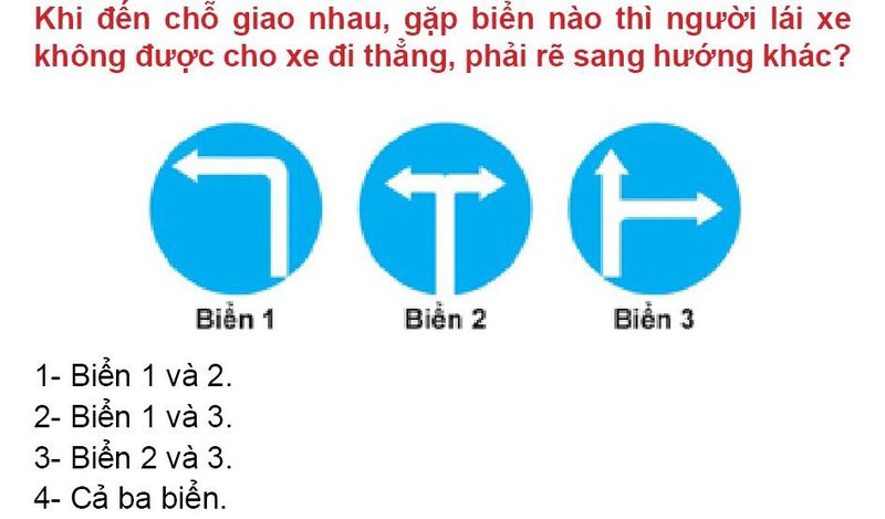 Nội dung câu hỏi thi bằng lái xe số 446